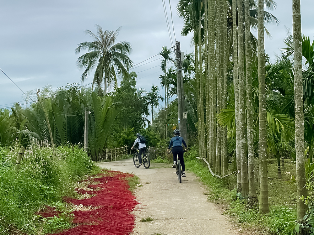 Hoi An Countryside Bike Tour